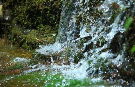 水雞命|泉中水命怎麼樣 分析屬雞泉中水命